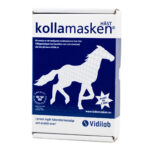 Kolla Masken 1 häst