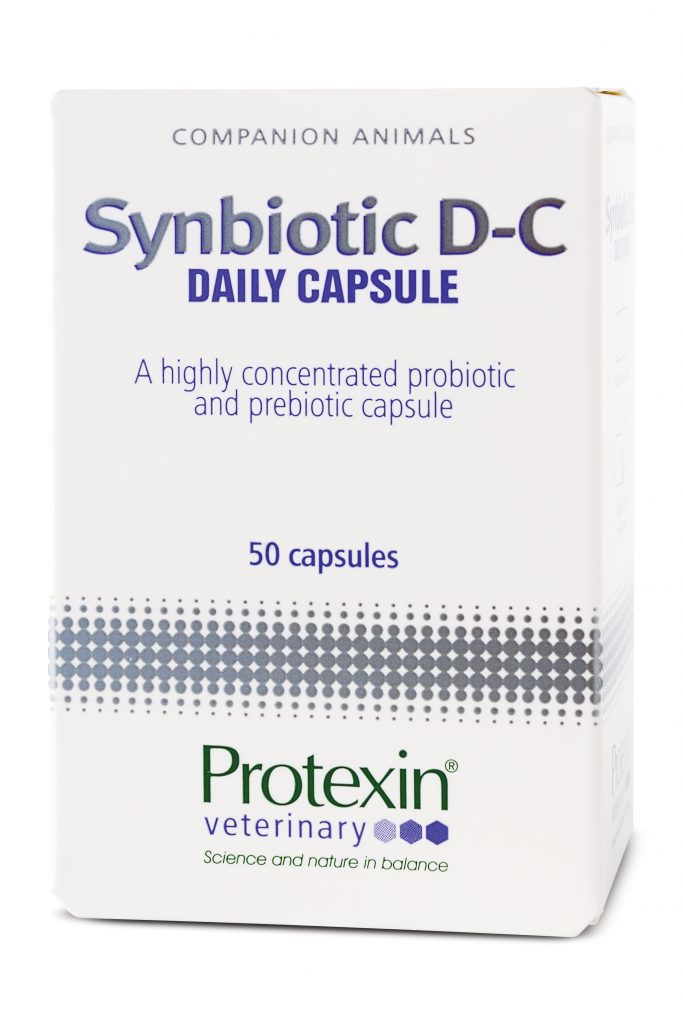 Synbiotic D-C 50 kapslar • Köp på Djurfarmacia Apoteket Trollet