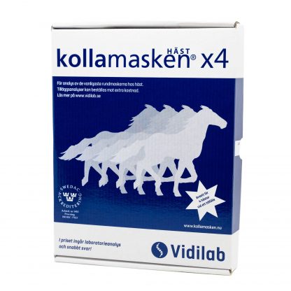 Kolla Masken 4 st Hästar