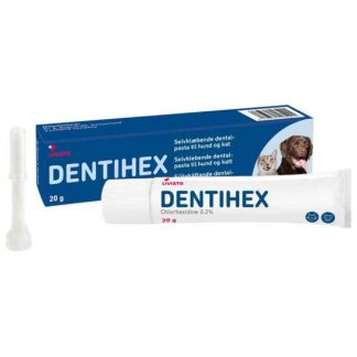 Dentihex 20 g
